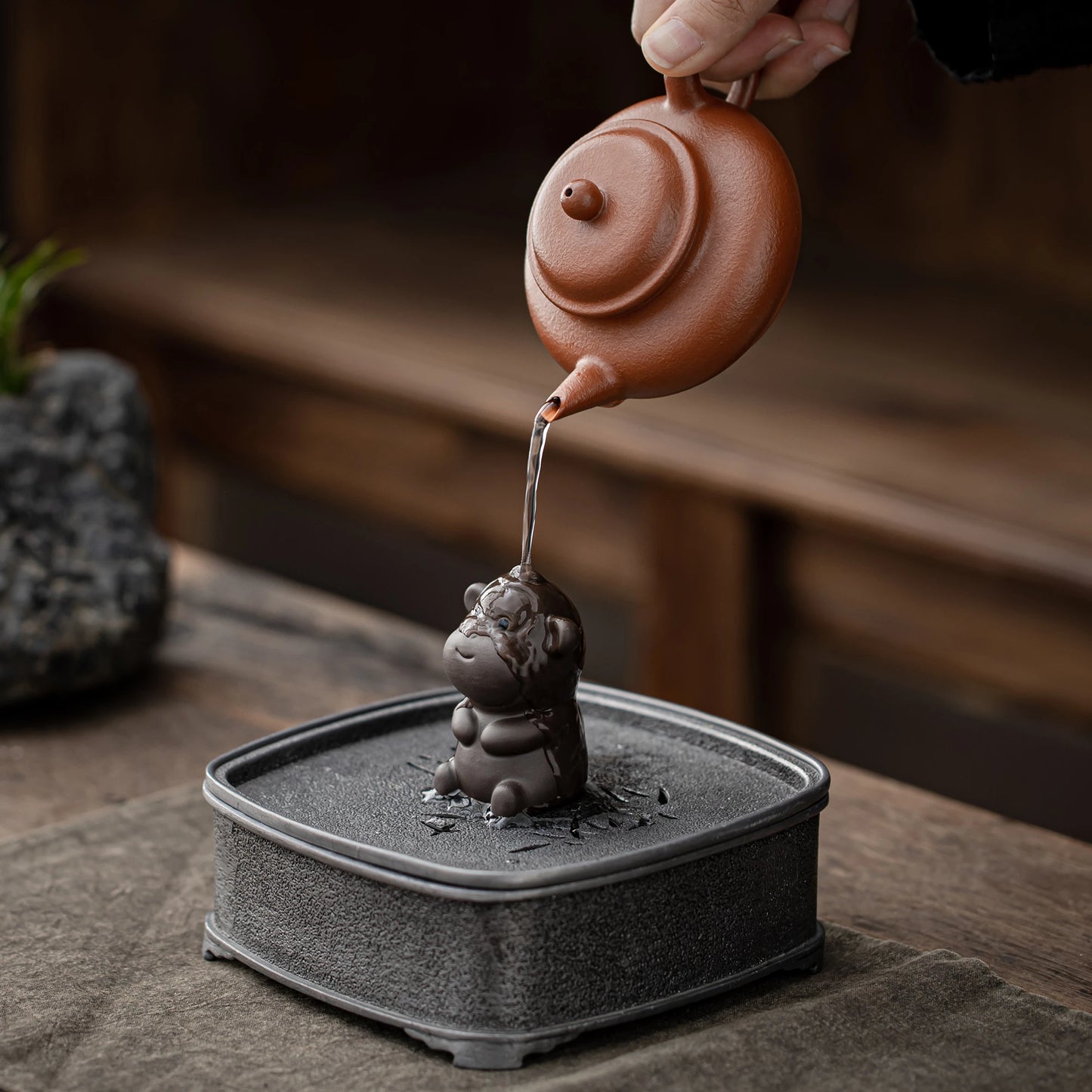 Monkey Teapet