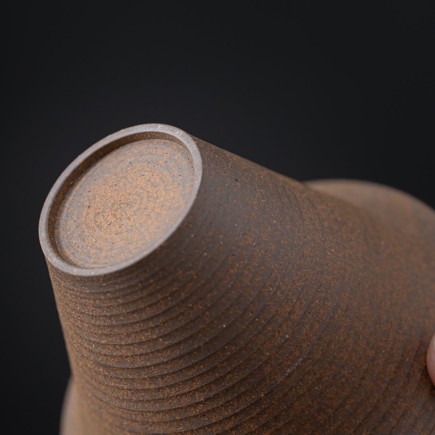 Clay Taihu Stone Gaiwan 150ml