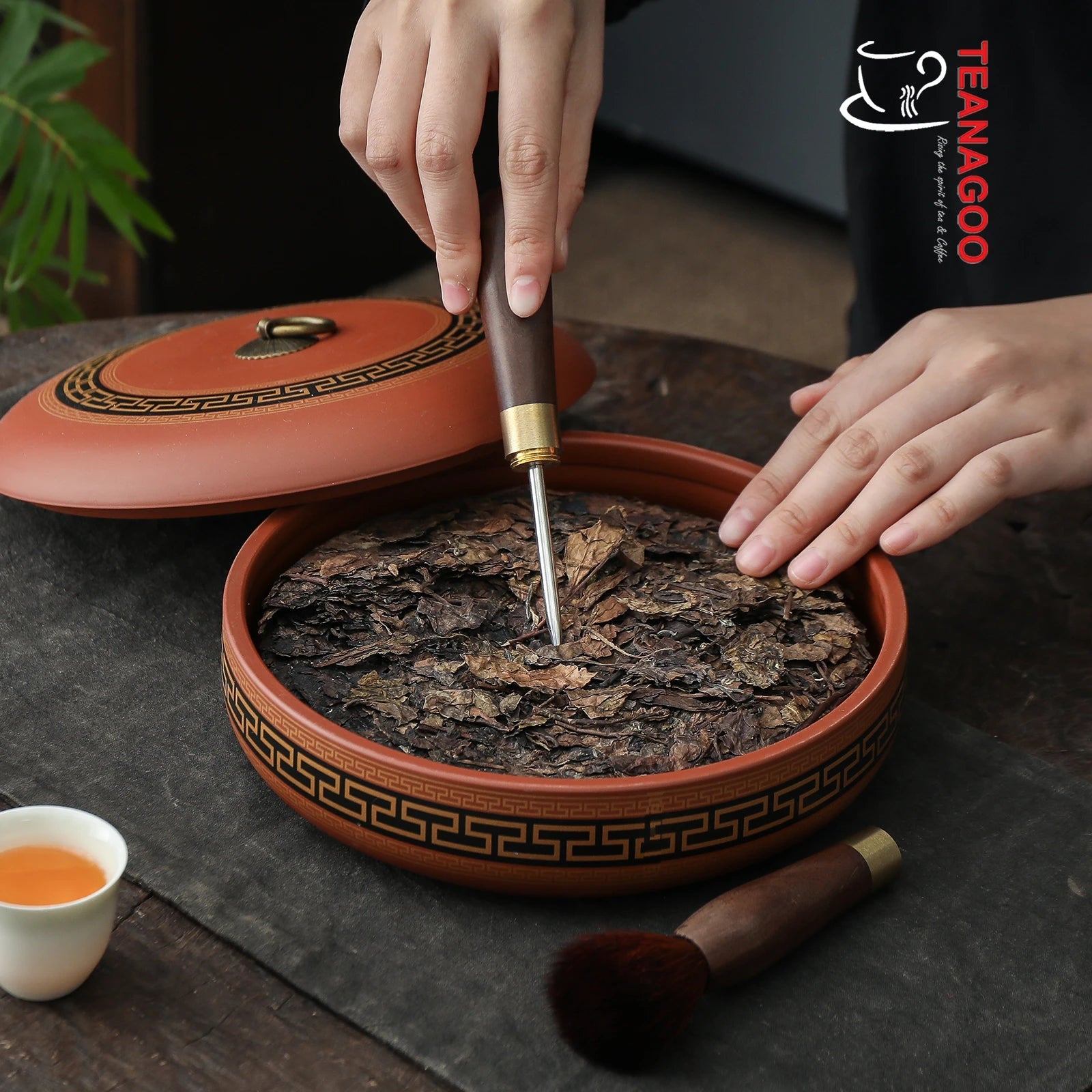 Wooden Tea Pot Brush Chinese Kungfu Tea Ceremony Accessory